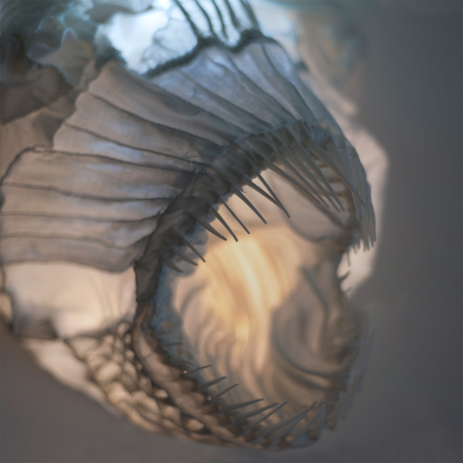 Dračí ryba — designové nástěnné světlo od Spacelights