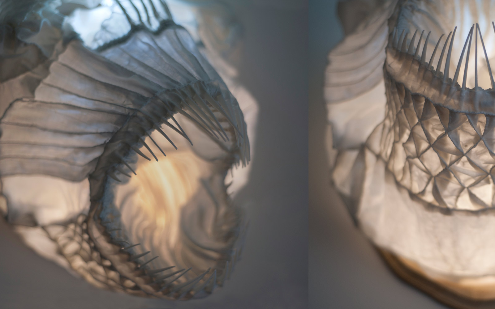 Dračí ryba — designové nástěnné světlo od Spacelights